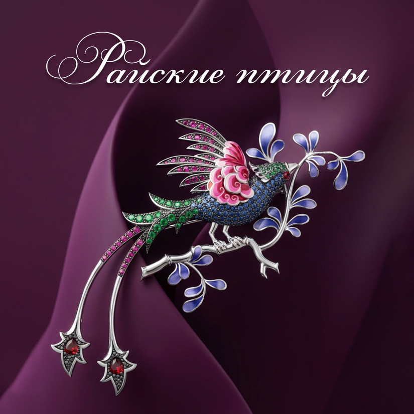 Райские птицы